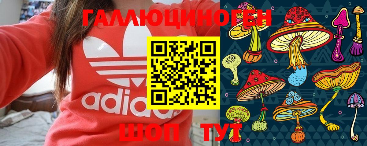 Шадринск  Галлюциногенные грибы мухоморы  Вход с VPN 
